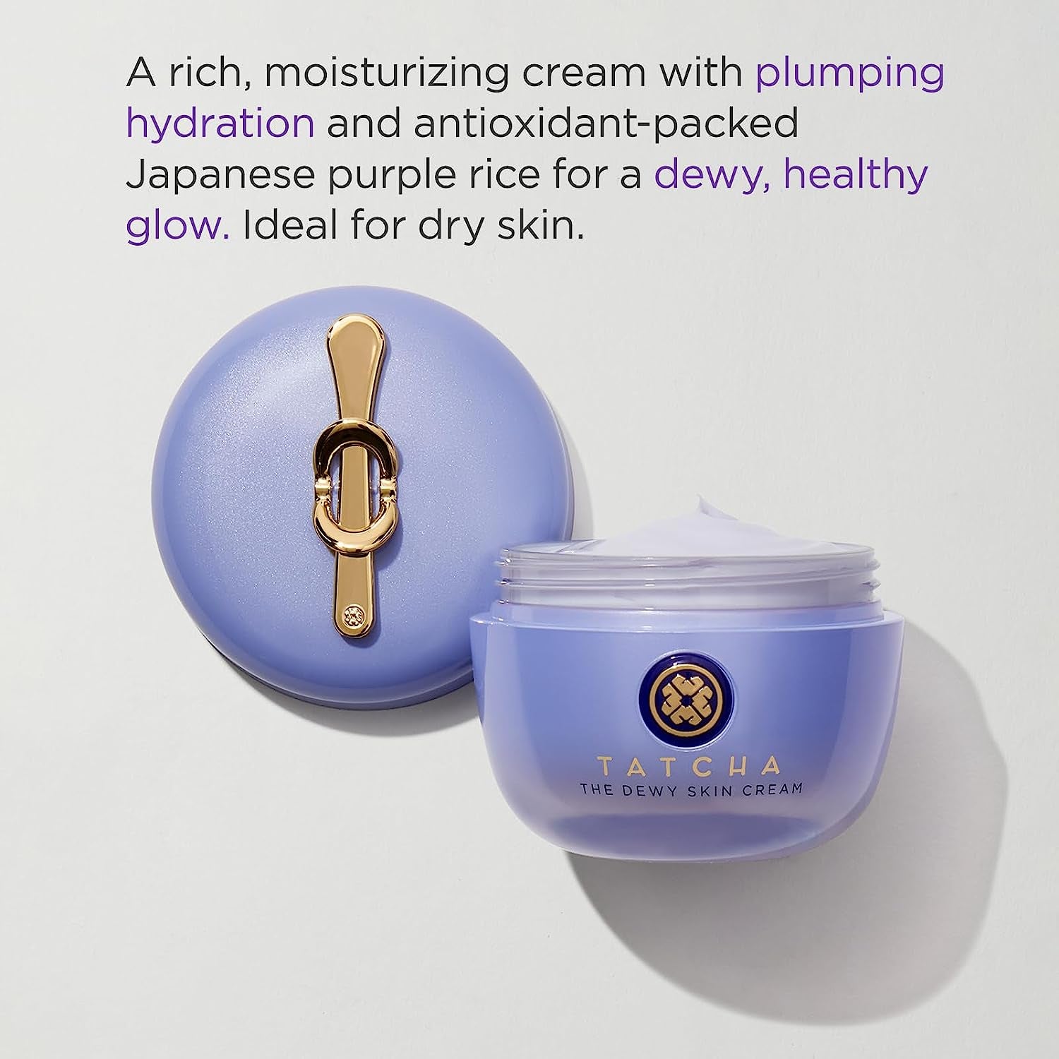 the Dewy Skin Cream: Rich Cream to Hydrate